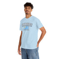 Uruguay Flag T-Shirt — "Pasión Celeste" Football Fan Tee